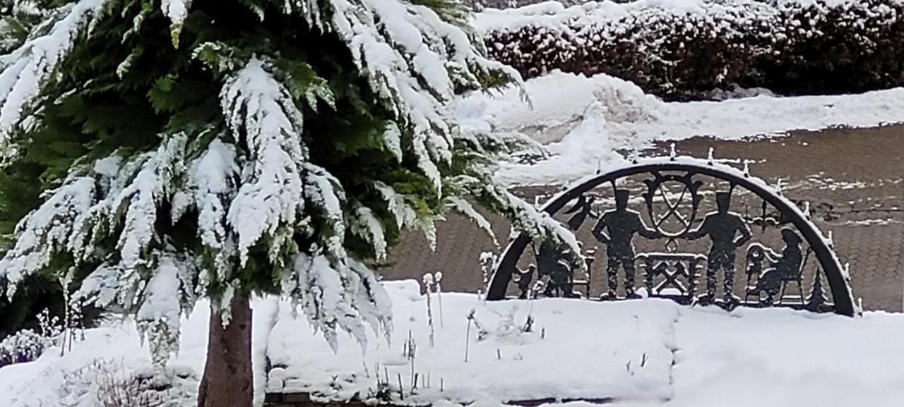 Fewo Harz Haennig 1 Wieda المظهر الخارجي الصورة