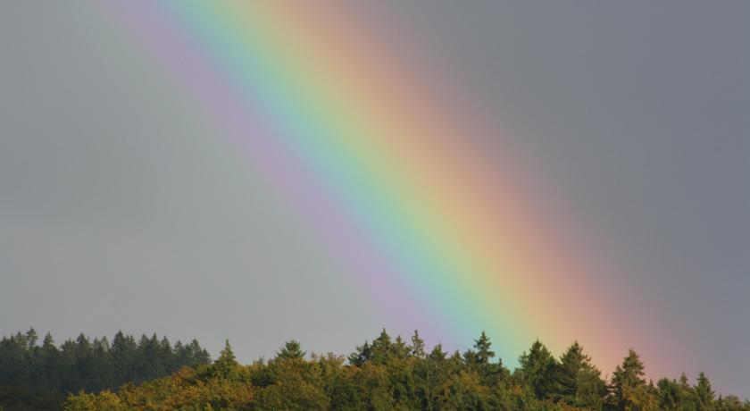 Fewo Harz Haennig 1 Wieda الغرفة الصورة
