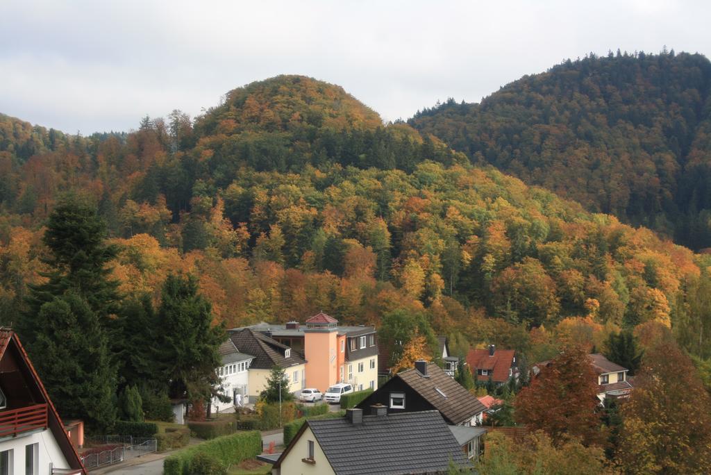 Fewo Harz Haennig 1 Wieda المظهر الخارجي الصورة